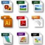 Six(6) Different Types of Files and How They are Used